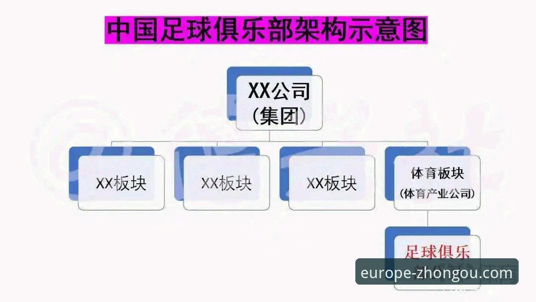 中欧体育平台深度评测：一站式体育资讯服务体验报告
